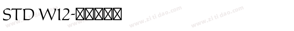 STD W12字体转换